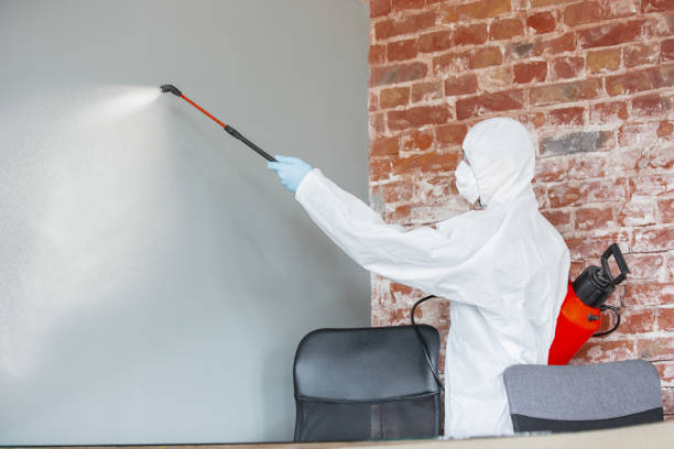 Reliable Woodburn, OR Mold Removal Solutions