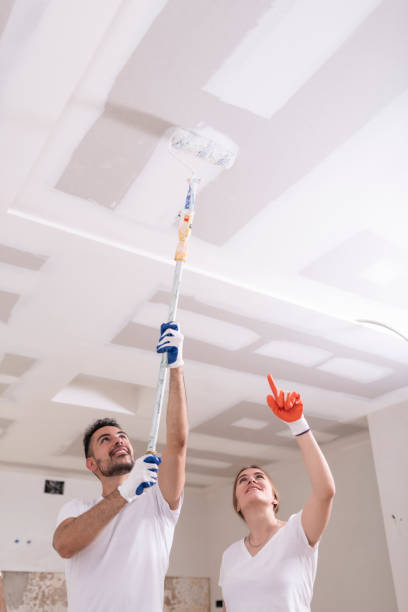 Best Mold Remediation for Healthcare Facilities  in Woodburn, OR