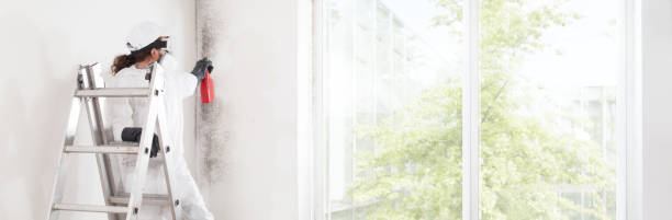 Best Post-Construction Mold Inspection  in Woodburn, OR